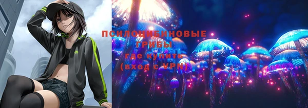 твердый Горнозаводск