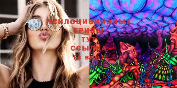 гашик Сатка