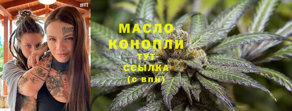 гашик Сатка