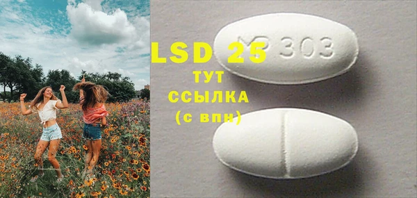 крисы Вязьма
