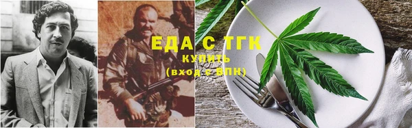 дмт Горняк