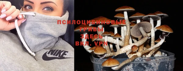 MESCALINE Горно-Алтайск