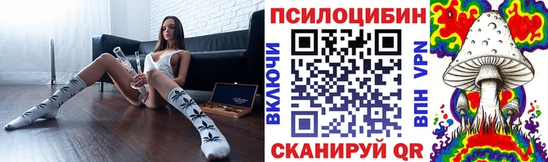Псилоцибиновые грибы Cubensis  Куса 